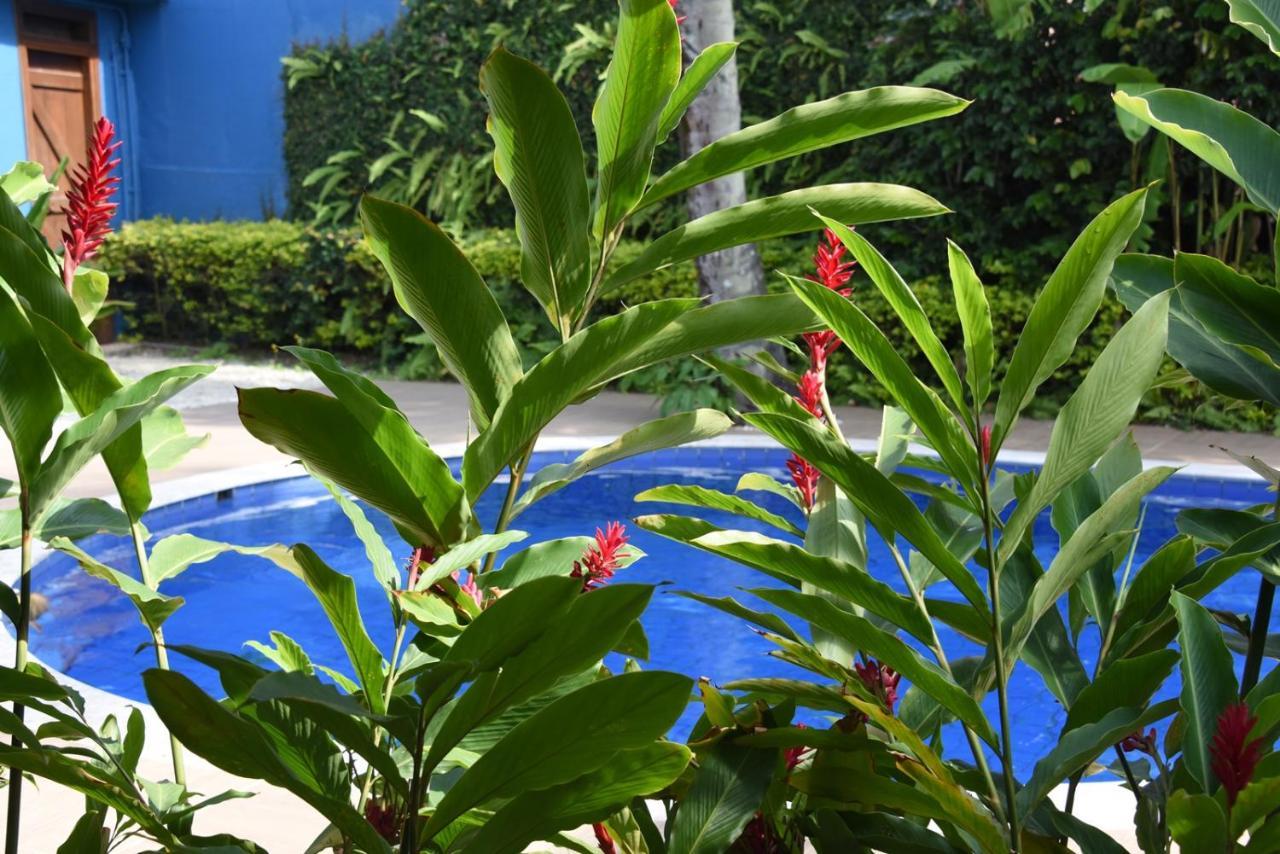 Pousada Verano Sao Sebastiao  Luaran gambar